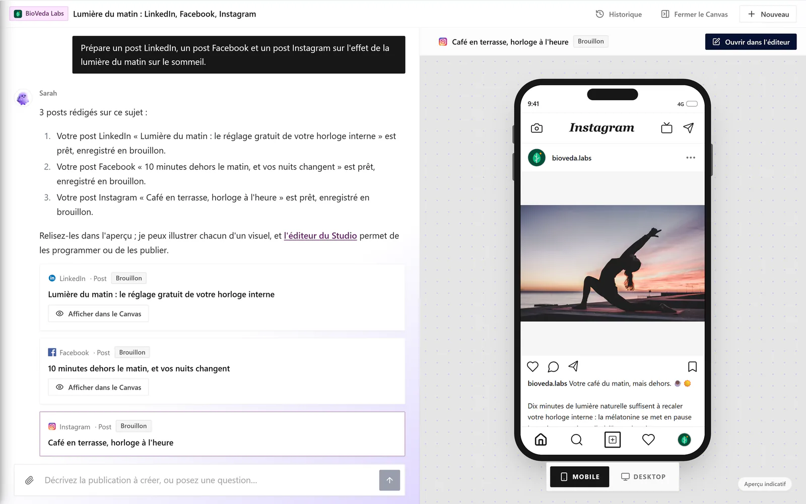 Capture de l'app : Sarah rédige trois posts pour LinkedIn, Facebook et Instagram en une seule demande